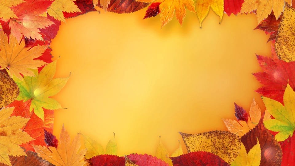 Beautiful autumn seasonal background template