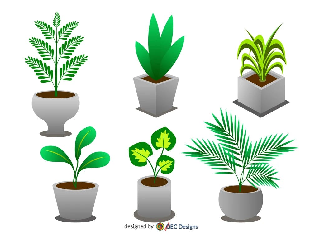 Set of Indoor potted plants vector image #001