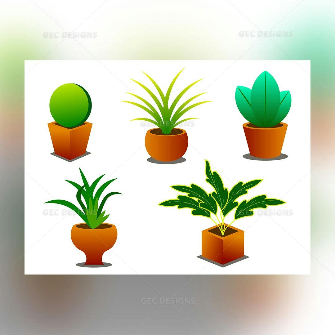 Set of Indoor potted plants vector image #003