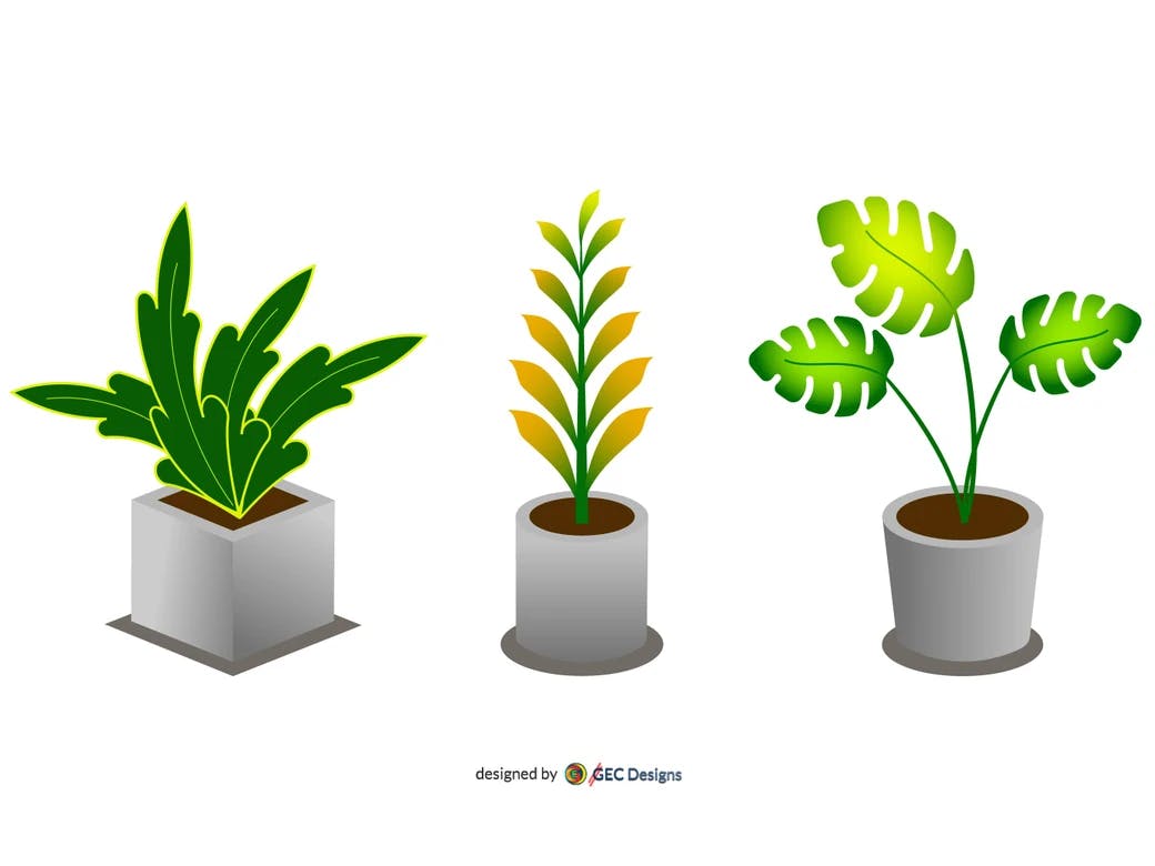 Set of Indoor potted plants vector image #002