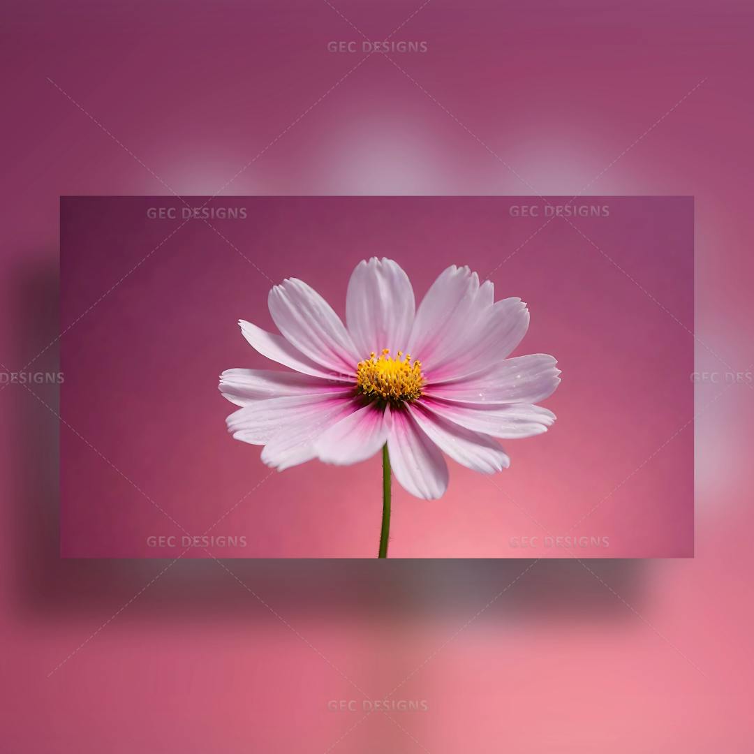 Beautiful pink single flower realistic AI-generated wallpaper