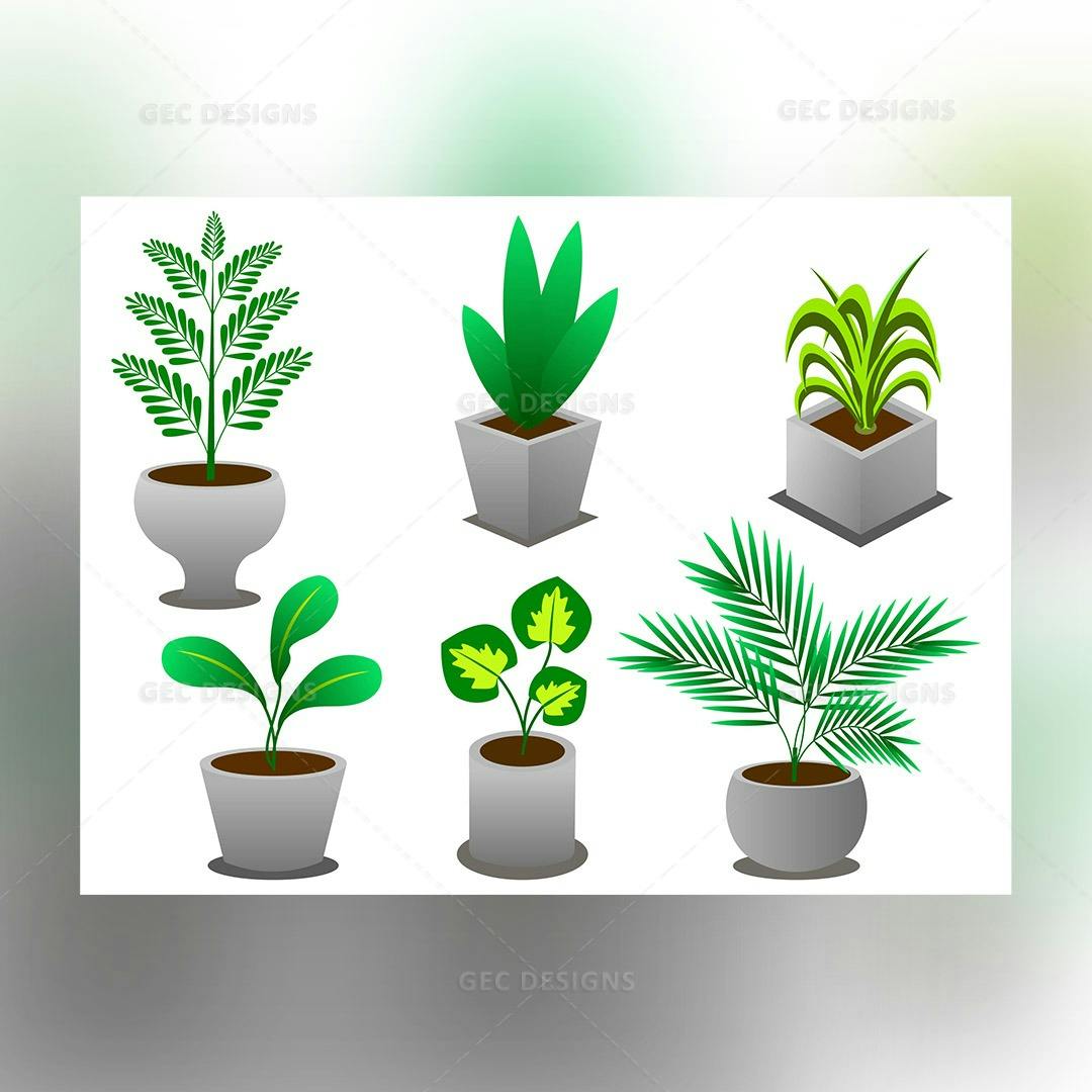 Set of Indoor potted plants vector image #001